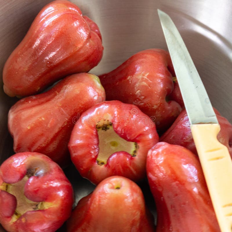 Rose Apple Knife Basin Red Fruit Stock Image Image of agriculture