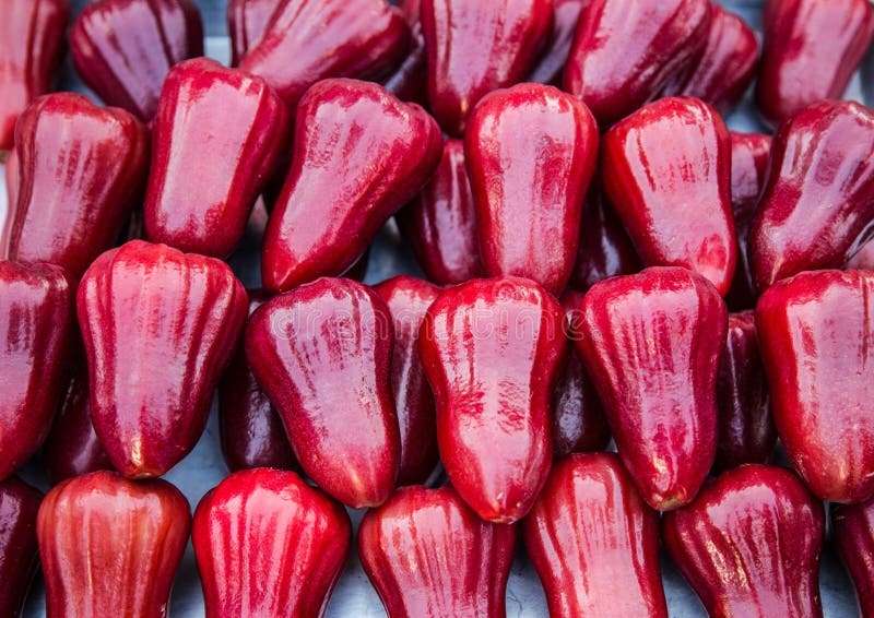 Rose apple in the market stock image. Image of ripe, southeast 38629039