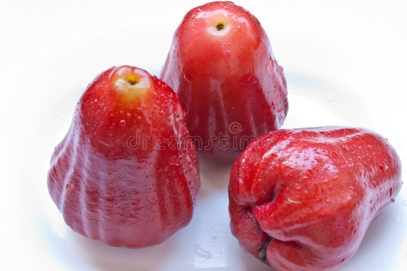 Rose apple in Thailand