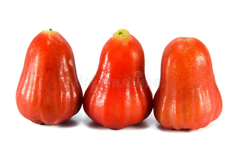 Rose apple stock photo. Image of chomphu, asian, asia 39644114