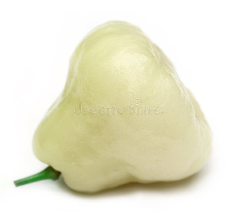 Rose apple stock photo. Image of rose, natural, green 31448742