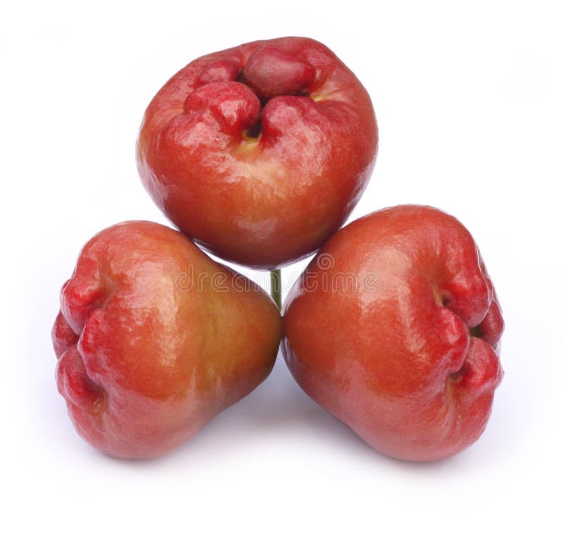 Roseapple fruit stock image. Image of eating, exotic 11476725