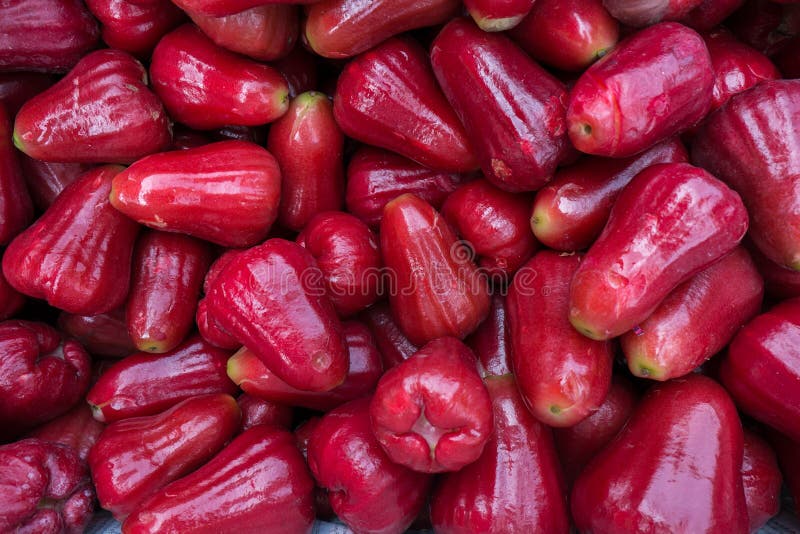 Vitamin stock photo. Image of antioxidant, dietary, dose 37952566