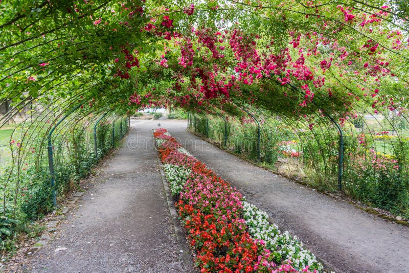 Rose Arbor Tunnel 7 fotografia de stock Rose Arbor Tunnel 7 fotografia de stock