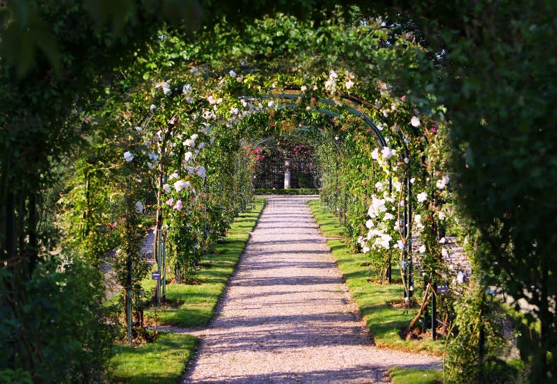 Rose Arch fotos de stock Rose Arch fotos de stock