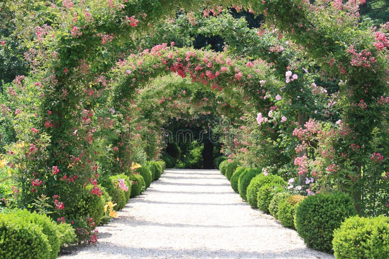 Arches in Rose Garden by joki