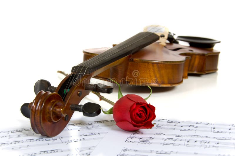 Rose arkfiol för musik