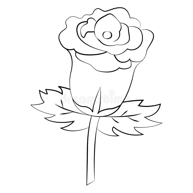 Rose Stock Vector Image 48519971