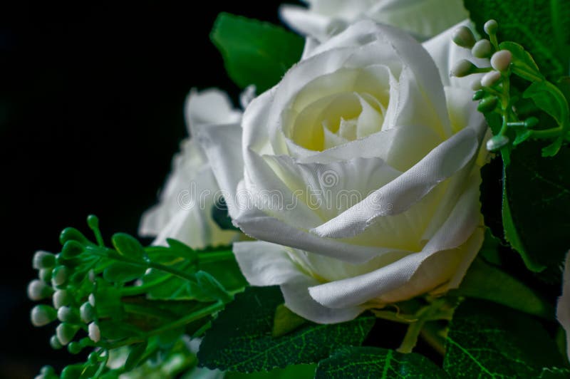 Rose Blanche Fleur Artificielle Peu Profonde Profondeur De Champ Image  stock - Image du lames, fond: 210715827