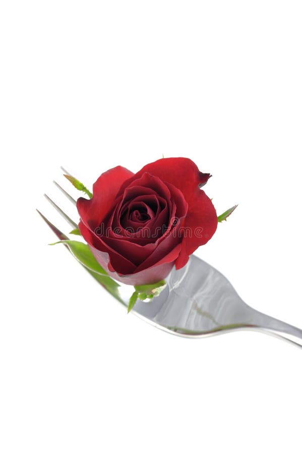 Rose bud on fork