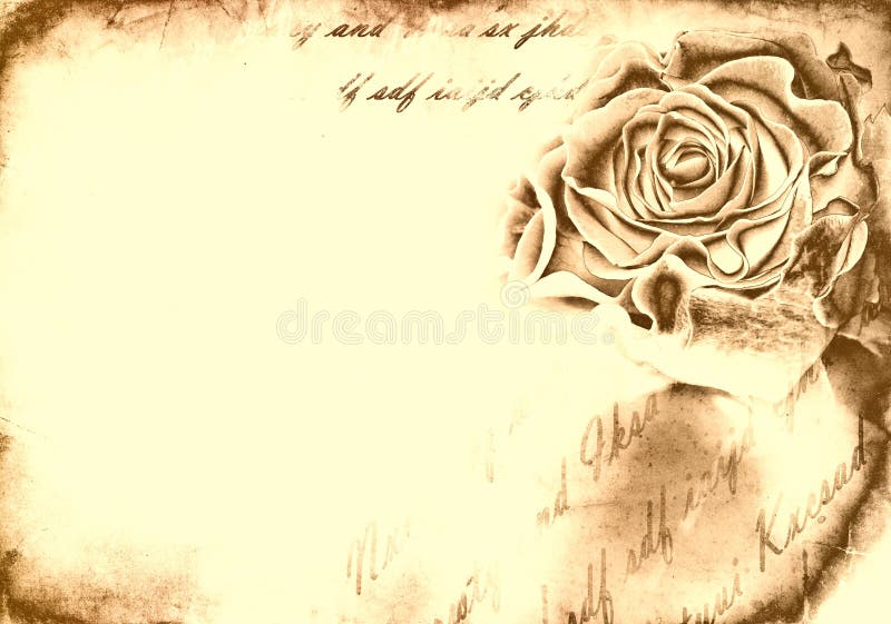 Rose bud on grunge background