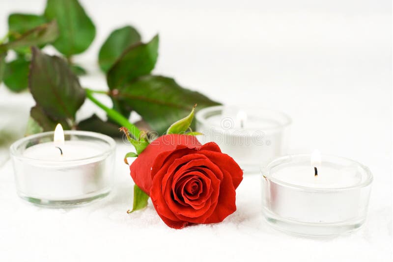 Rose and candles stock photo. Image of background, plant 7612862