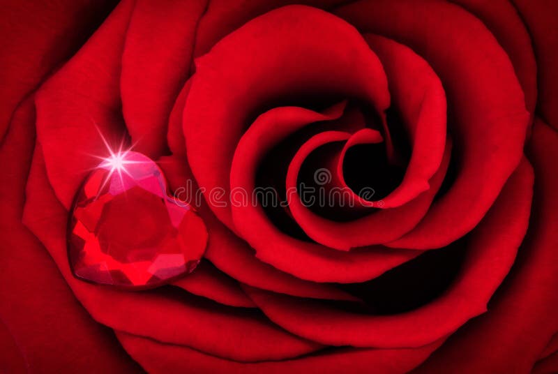 Rose Close Up Macro rouge vibrante avec Ruby Heart image libre de droits Rose Close Up Macro rouge vibrante avec Ruby Heart image libre de droits