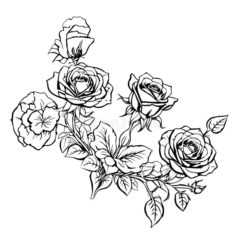 350+ Rose Tattoo Stencil Drawings Stock Illustrations, Royalty-Free Vector  Graphics & Clip Art - iStock