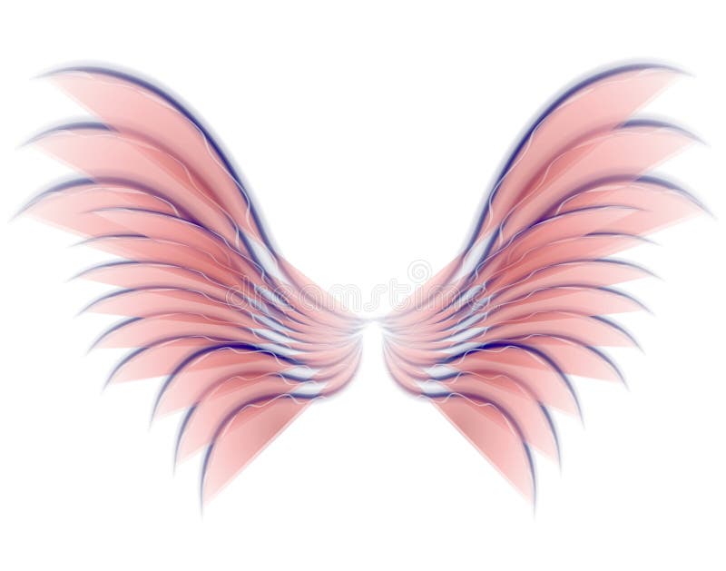 Femmes/filles net fée ailes avec silver glitter angel rose ailes noires blanc