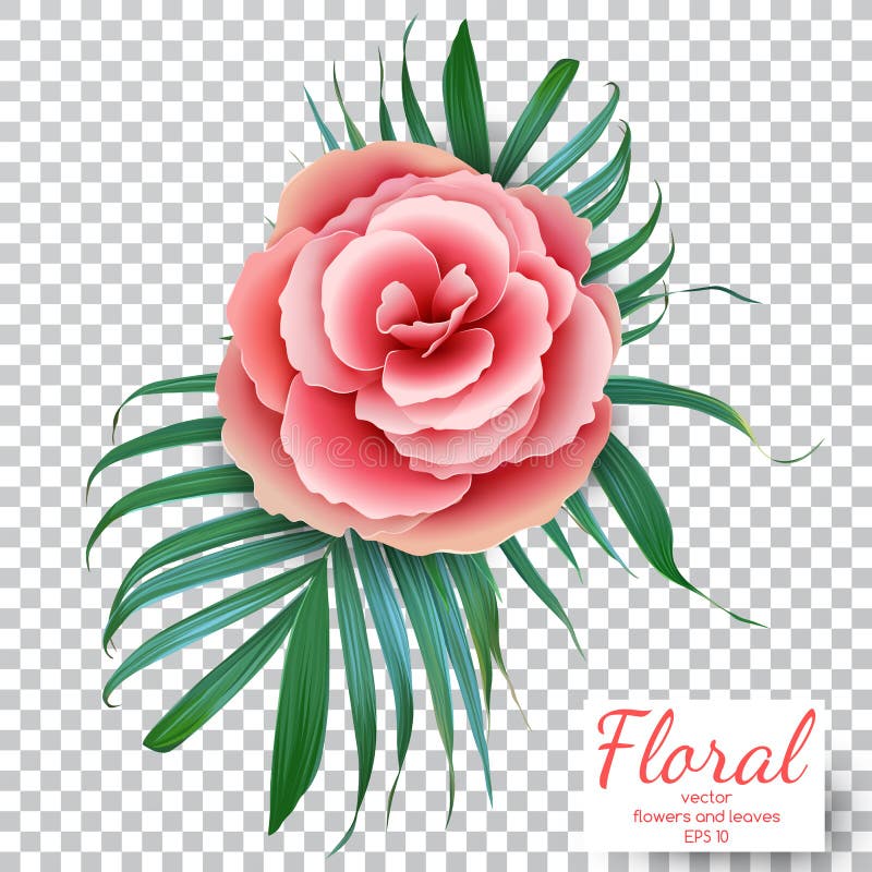 Rose de rose de vecteur sur un fond transparent vecteur lumineux d'illustration de fleur de bouquet De