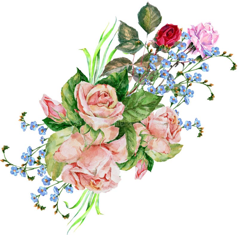 Rose del mazzo, acquerello, modello illustrazione vettoriale