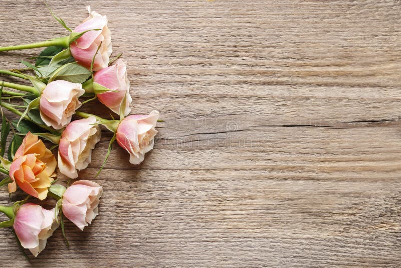 Pastel pink roses on wooden background. Copy space. Pastel pink roses on wooden background. Copy space