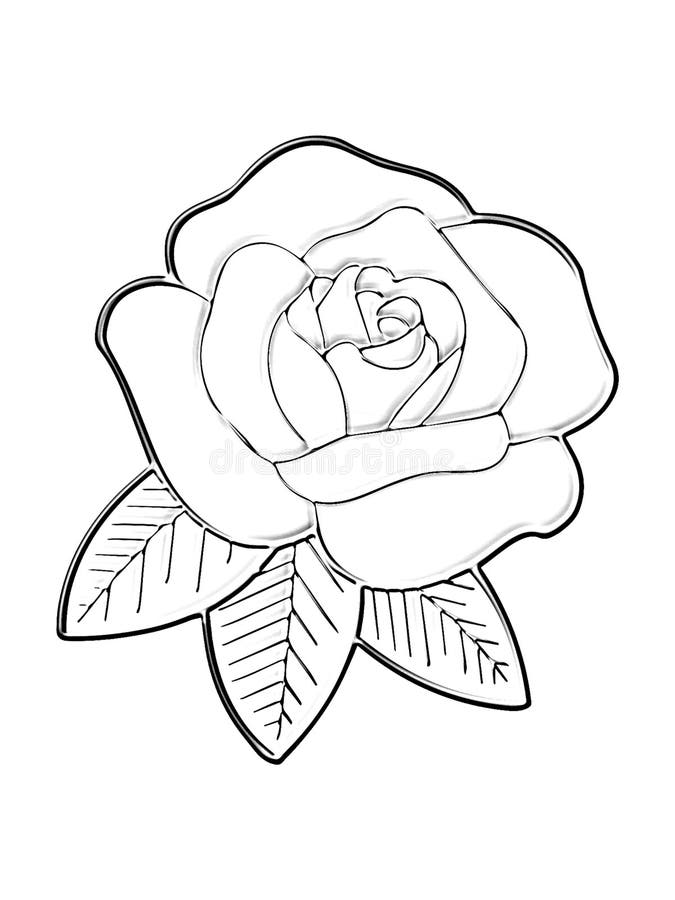 Rose Sketch Easy | Roses drawing, Rose drawing simple, Rose drawing