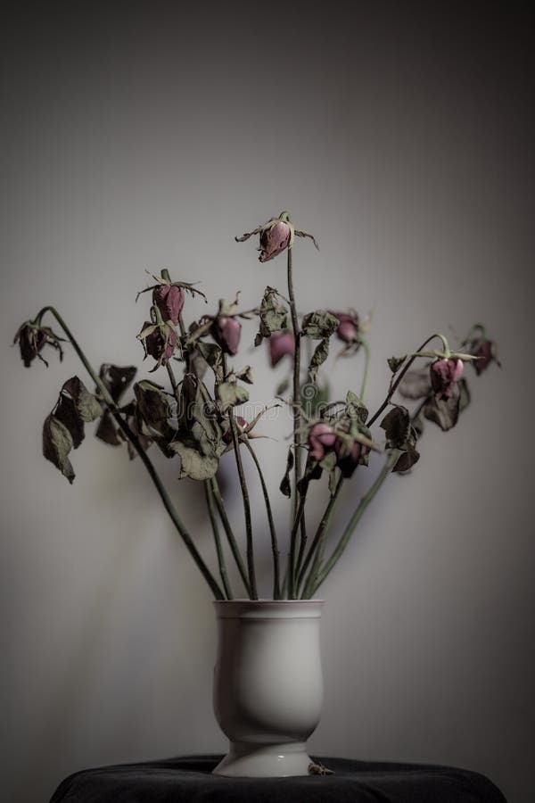Dead flowers in a vase stock photo. Image of iris, purple 17876818