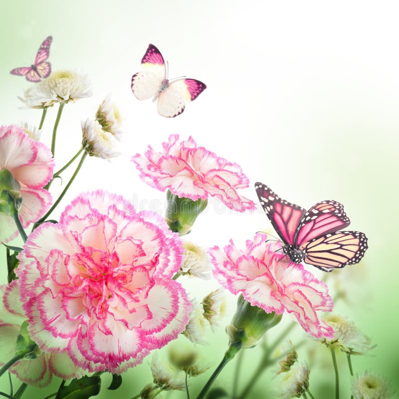 Recensione OPPO Enco Air 4 Pro: Ottima Qualità Audio, Ma Prezzo Alto - Foto 1