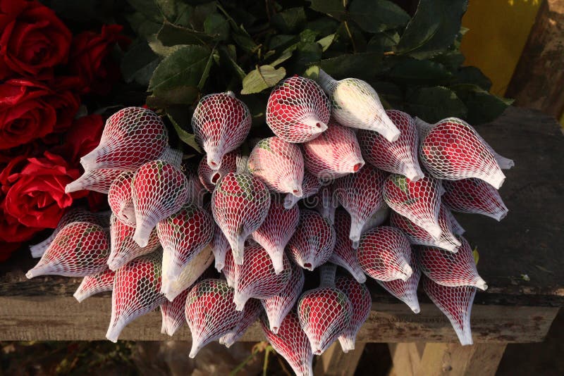 Rose enveloppée avec filet en mousse sur le magasin photo stock