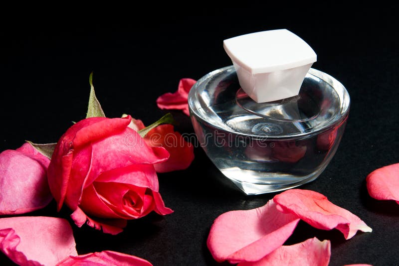 Rose essential royalty free stock image Rose essential royalty free stock image