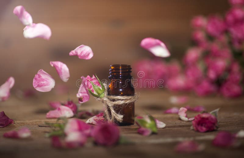 Elixir of life. Love drink. Love potion. Potion of Life. Lilac Essential Oil  Stock Photo