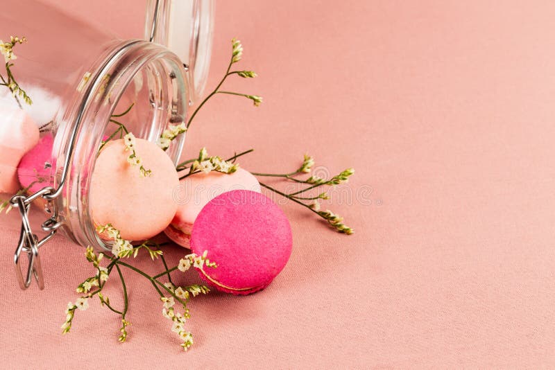 Rose et macarons ou macarons français magenta, et fleurs blanches minuscules tombant hors d'un pot en verre se trouvant au-dessus photos stock Rose et macarons ou macarons français magenta, et fleurs blanches minuscules tombant hors d'un pot en verre se trouvant au-dessus photos stock