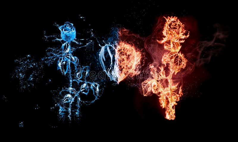 Rose in Flammen/Rosenbrennen bei Feuer ist auf der einen Seite und nasse Rose in hellblauem Wasser mit Wassertropfen ist auf der lizenzfreies stockbild Rose in Flammen/Rosenbrennen bei Feuer ist auf der einen Seite und nasse Rose in hellblauem Wasser mit Wassertropfen ist auf der lizenzfreies stockbild