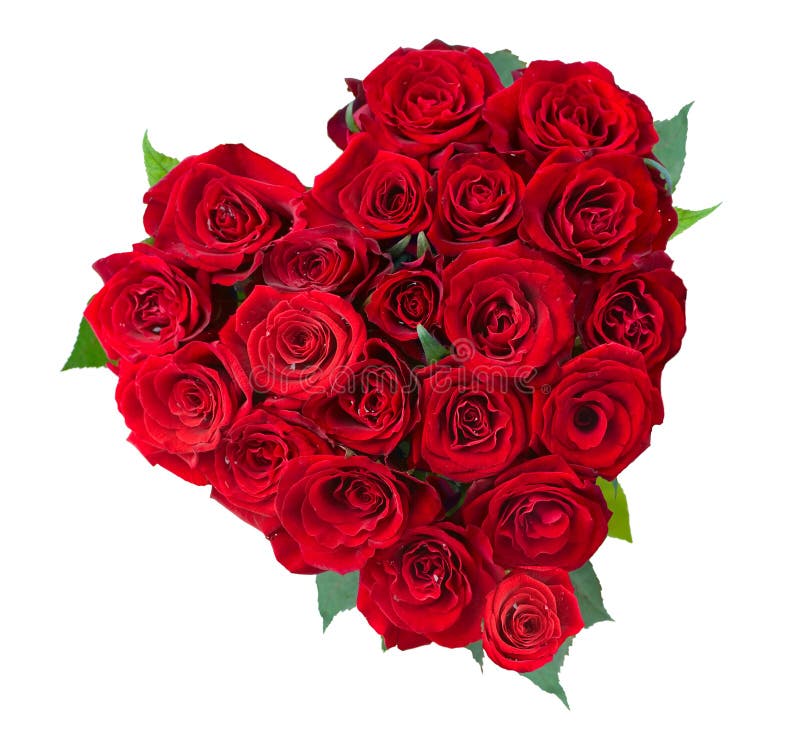 Rose florece el corazón sobre blanco fotografía de archivo libre de regalías Rose florece el corazón sobre blanco fotografía de archivo libre de regalías