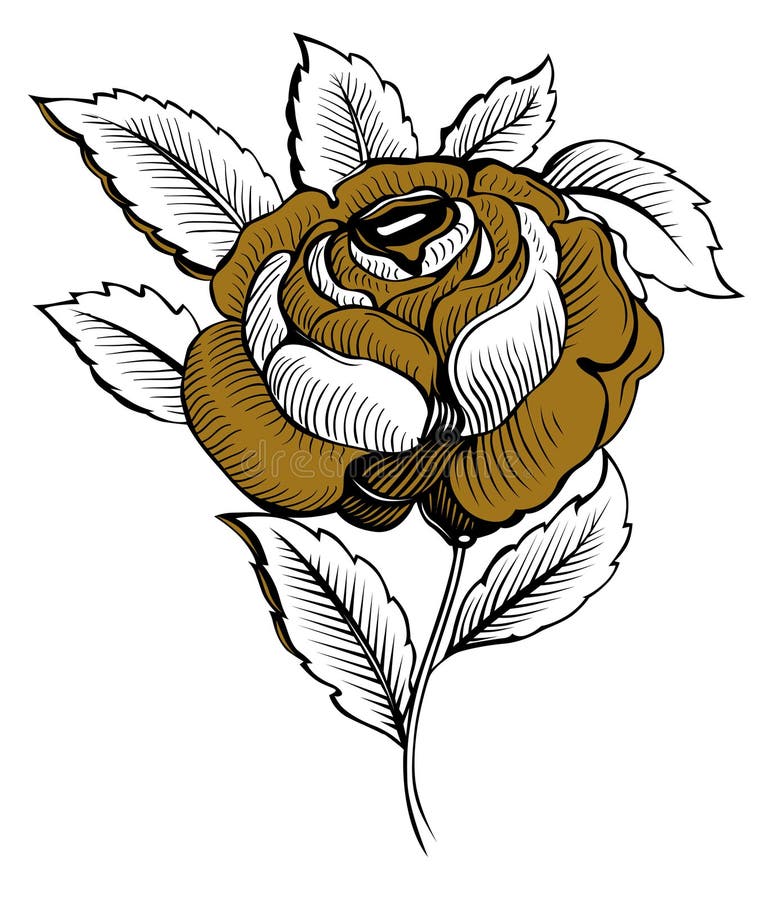 Rose flower