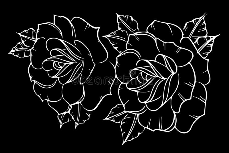 Rose Flower Drawing Black and White Stock Illustration Illustration