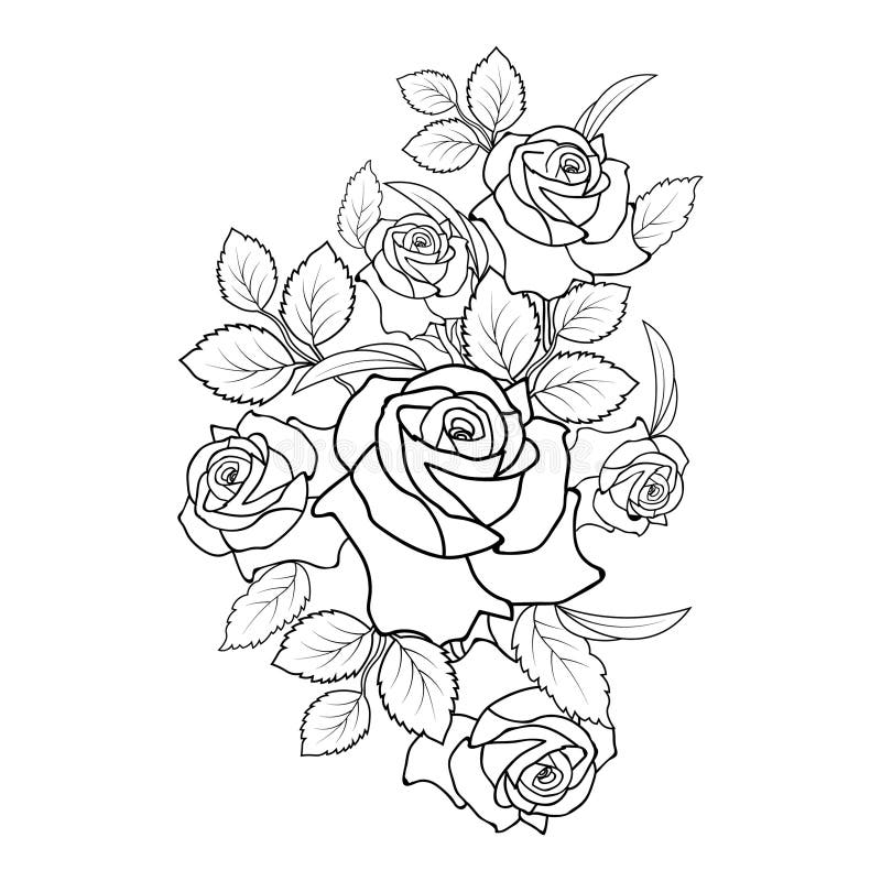 Rose Flower Bouquet Drawing Outline, Rose Drawing, Rose Drawing the ...