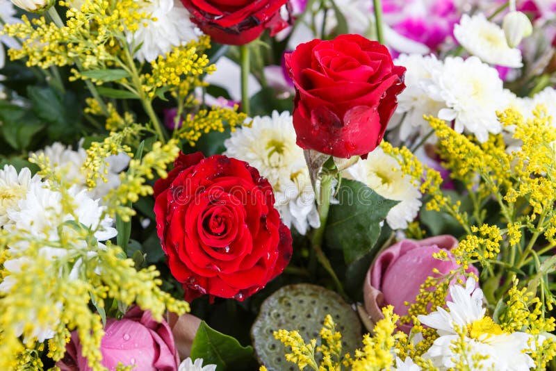 Rose flower bouquet stock photo. Image of nature, bunch 47453488