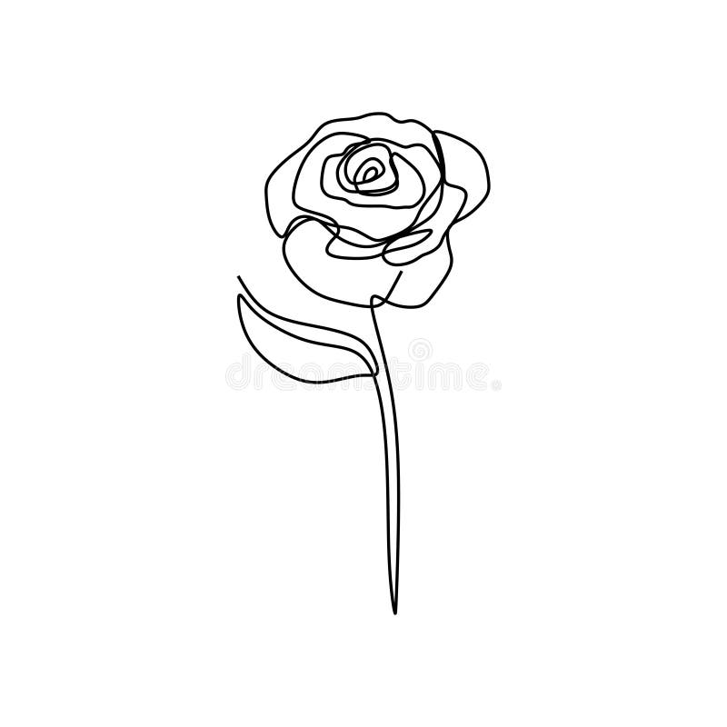 Rose flower continuous line art drawing vector illustration. Minimalist Rose flower continuous line art drawing vector illustration royalty free illustration Rose flower continuous line art drawing vector illustration. Minimalist Rose flower continuous line art drawing vector illustration royalty free illustration