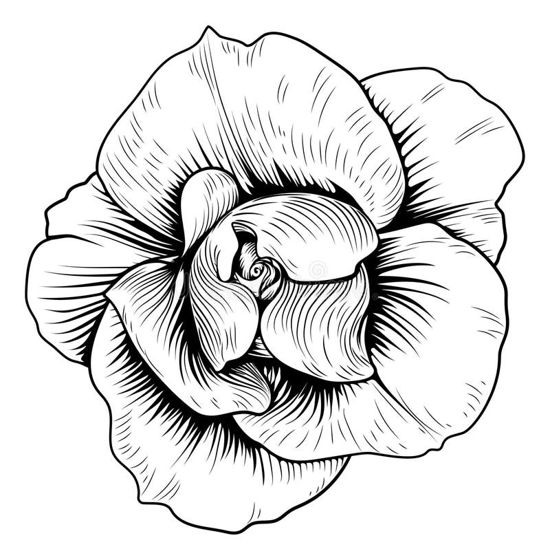 Rose Flower Engraved Vintage Woodcut-Radierung