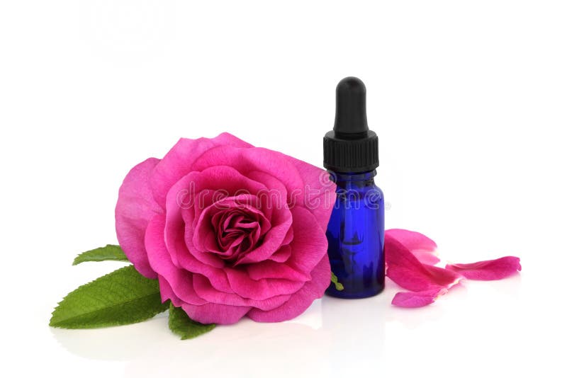 Rose Flower Essential Oil stock photo. Image of essence 13799426