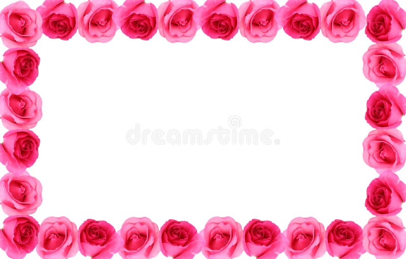 Rose Flower Frame Background Stock Image - Image of rose, design: 31741753