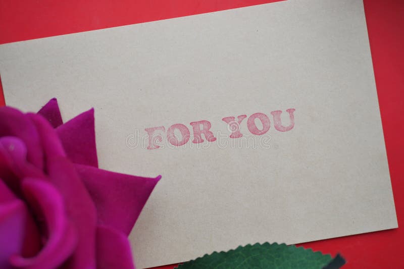 Rose Flower and Gift Card with for You Text on it Stock Image Image
