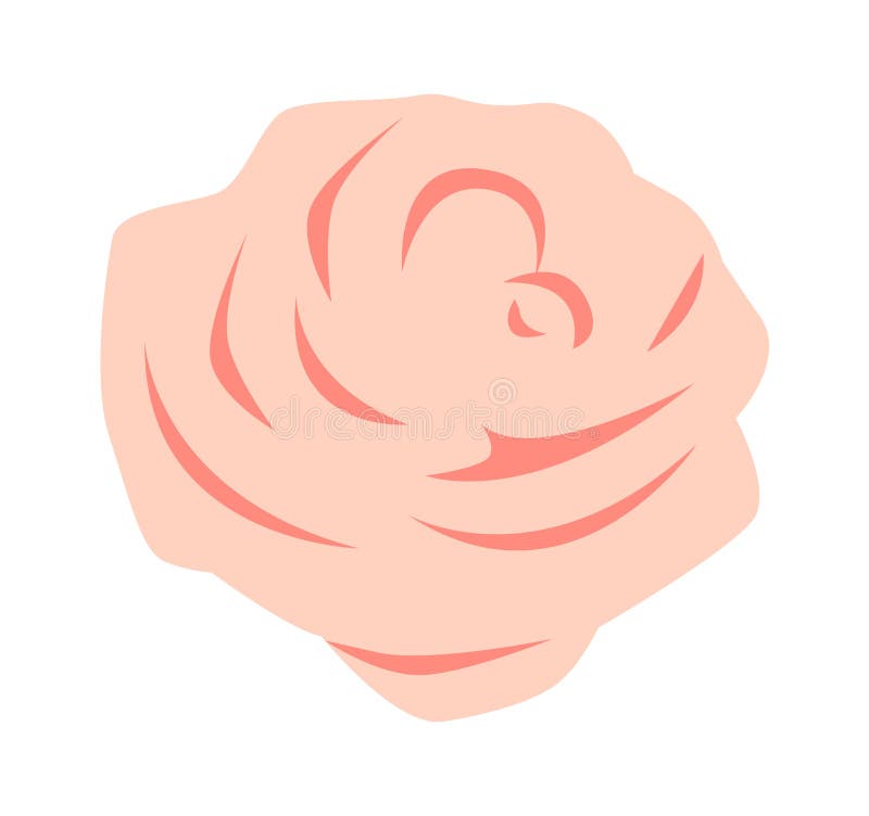 Rose Flower Head stock vector. Illustration of design 274149214