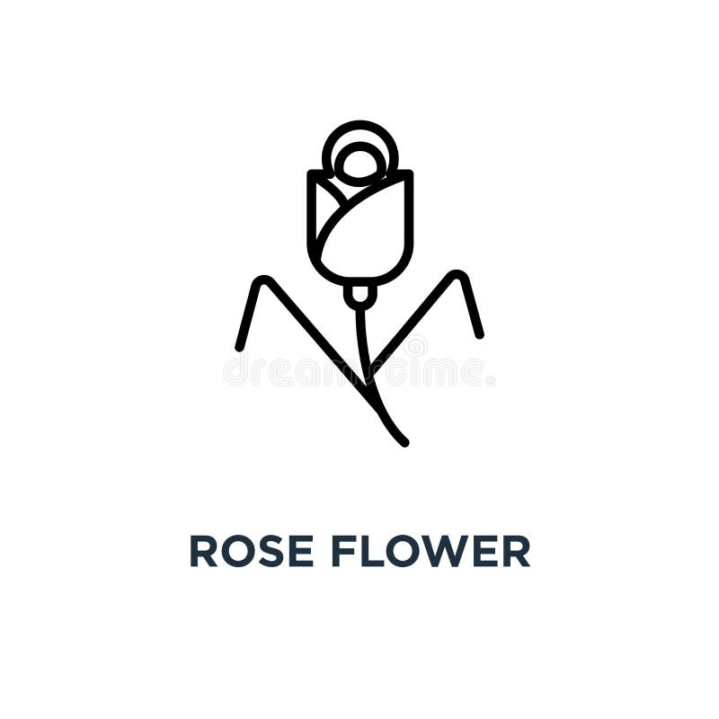 Rose flower icon. Linear simple element illustration. Floret con royalty free illustration Rose flower icon. Linear simple element illustration. Floret con royalty free illustration