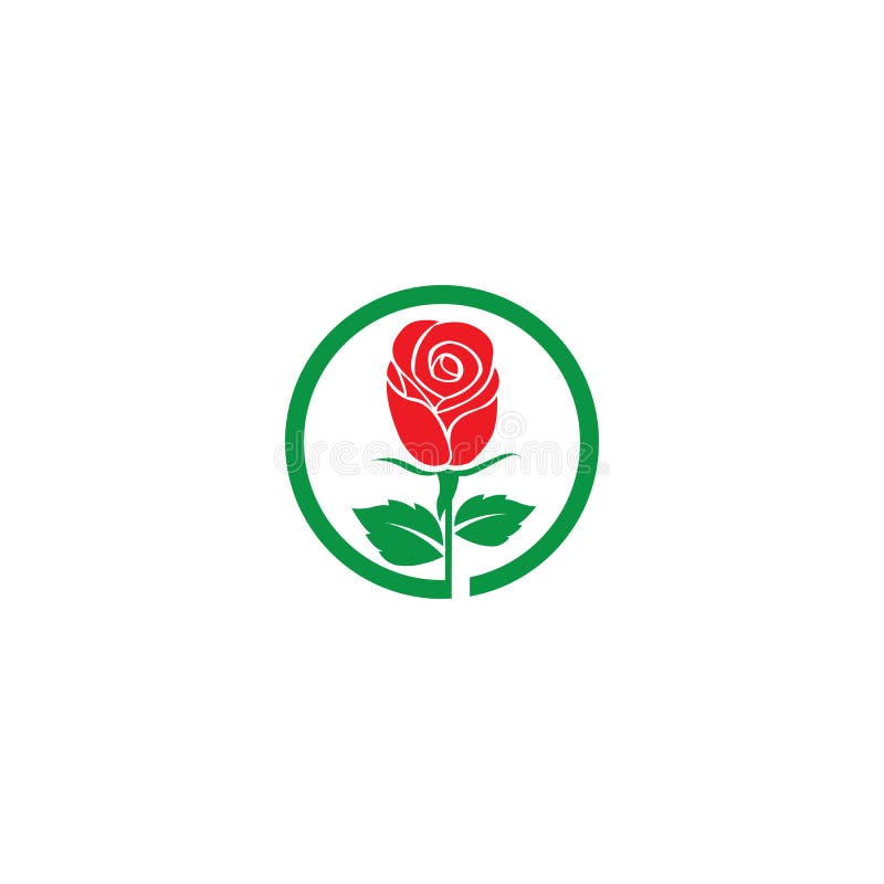 Rose flower Logo Template stock illustration. Illustration of roses