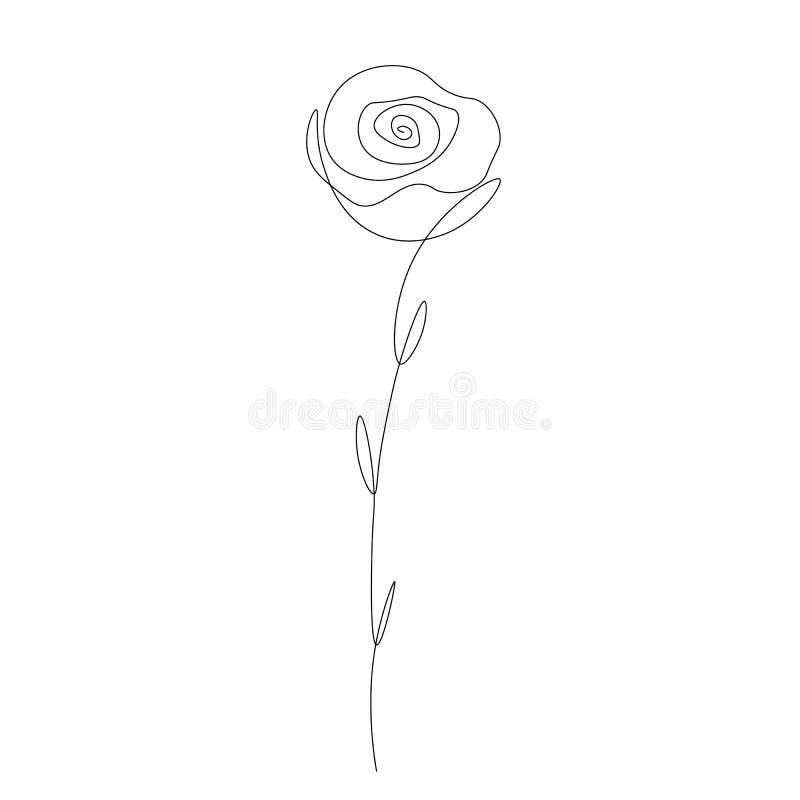 Rose Flower One Line Drawing, Floral Design, Vector Illustration Stock