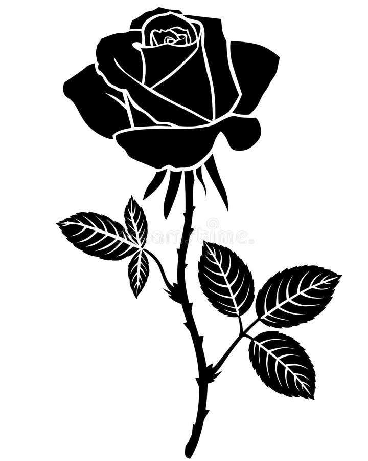 Download Rose flower silhouette stock vector. Illustration of ornate - 46645626