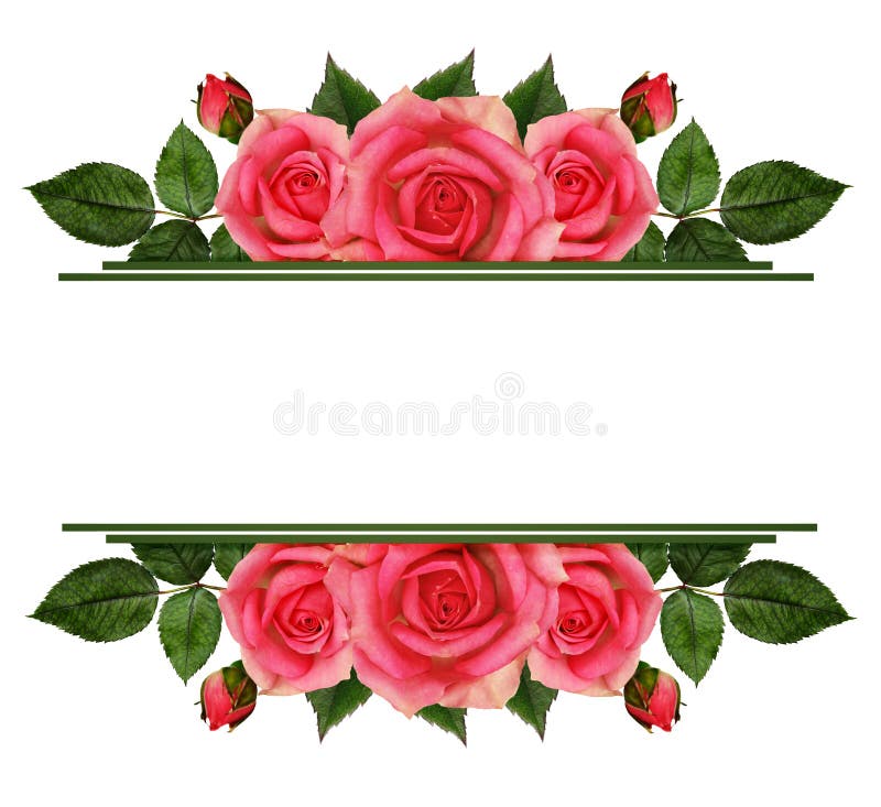 Rose flowers edges stock illustration. Illustration of invitation