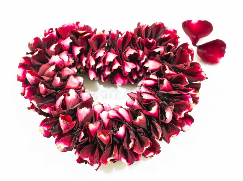 Rose Flowers Heart Over White stock image Rose Flowers Heart Over White stock image