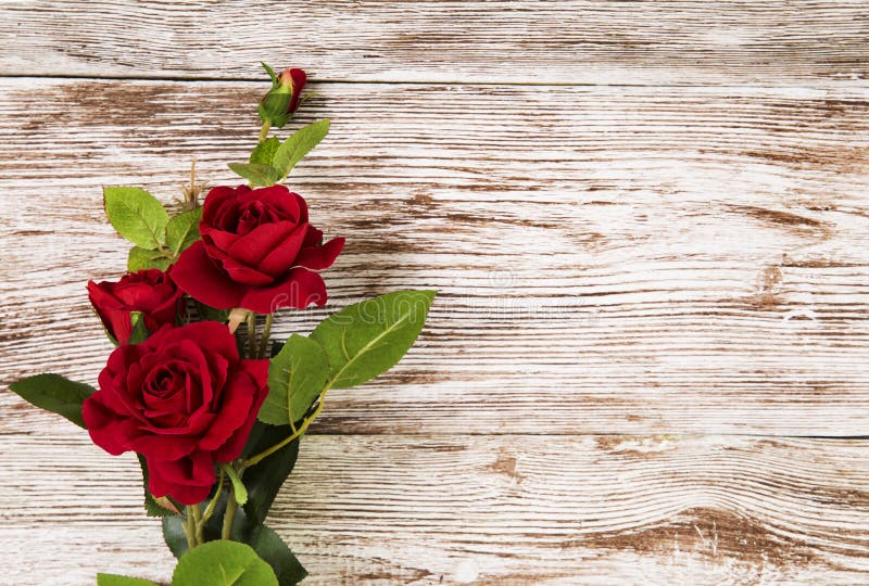 Rose Flower Background Pictures Download Free Images on Unsplash