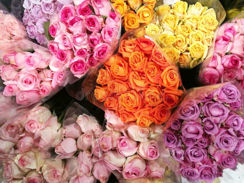 Red Romantic Rose Bouquet Prepare for Special Lovely Event in Flower Shop Stock Photo Image of