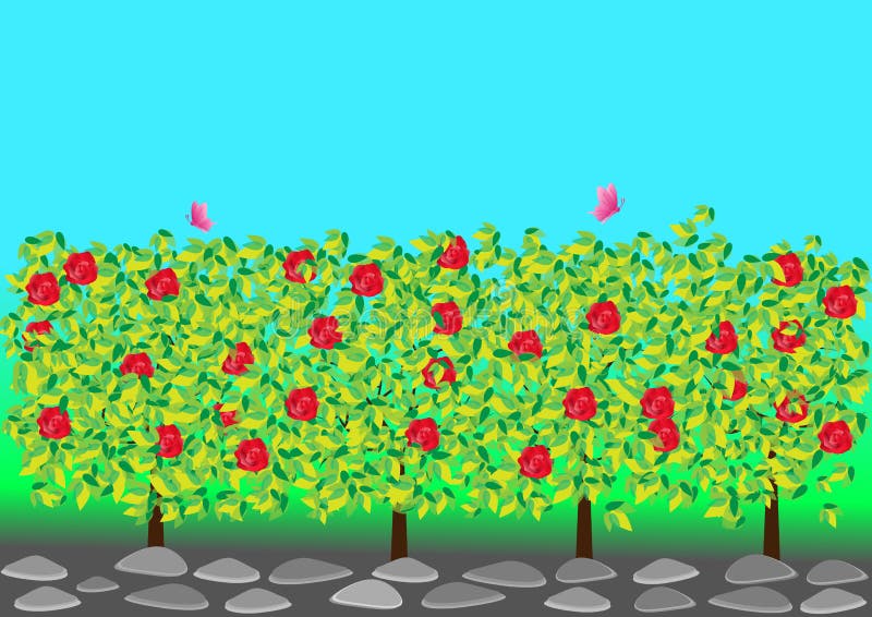 Rose Garden Stock Illustrations 224,905 Rose Garden Stock